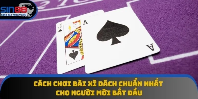 Cách Chơi Bài Xì Dách Chuẩn Nhất Cho Người Mới Bắt Đầu