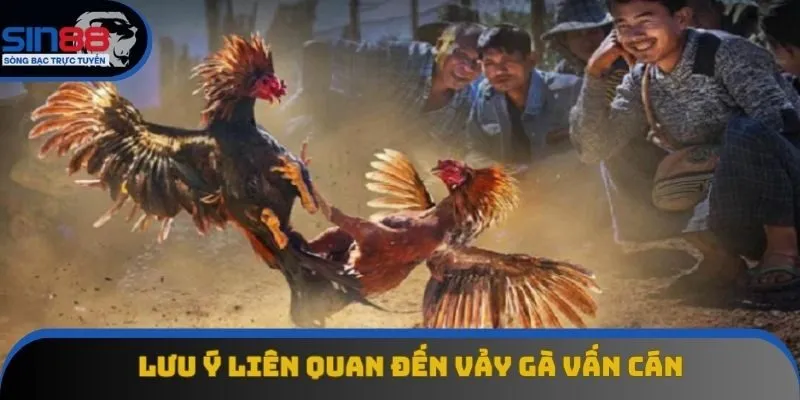 Lưu ý quan trọng liên quan đến vảy vấn cán Lưu ý quan trọng liên quan đến vảy vấn cán